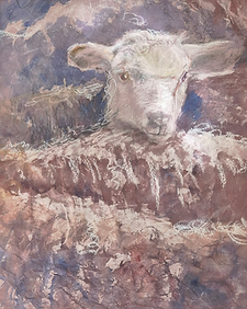 2510mouton40x30cm.png
