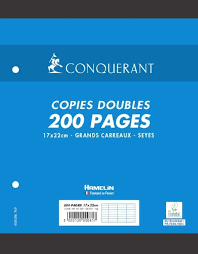 Copie double  170x220mm 200p 70g séyès perforées.