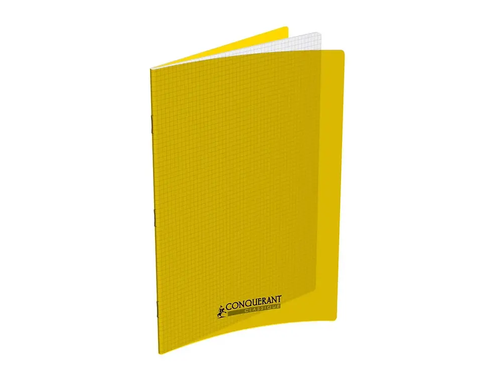 Miniature : Cahier Conquerant 24x32 96pages petit carreaux 5x5mm