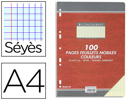 Feuillet mobile A4 210x297mm 100 pages 80g séyès perforé coloris