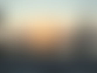 Die Seuche des Jahres