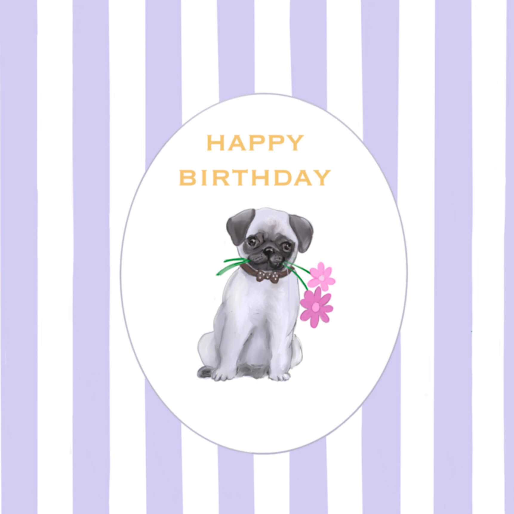 PL03B Pug with purple stripes