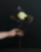 Spotlight Bloom