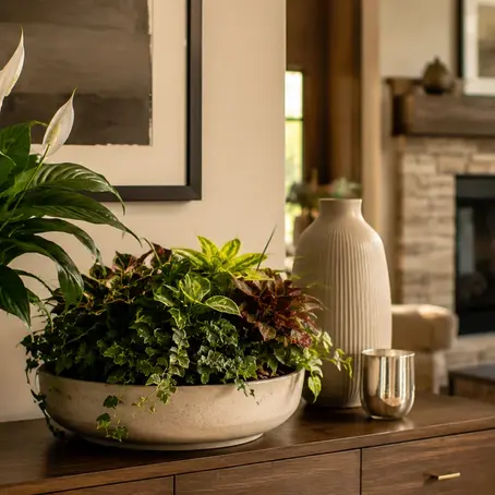Housewarming Plant Gift Guide: The Best Plants For A New Home