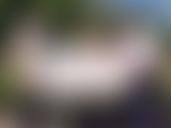 BRIGHT STAR SHINES OVER HAMPTON