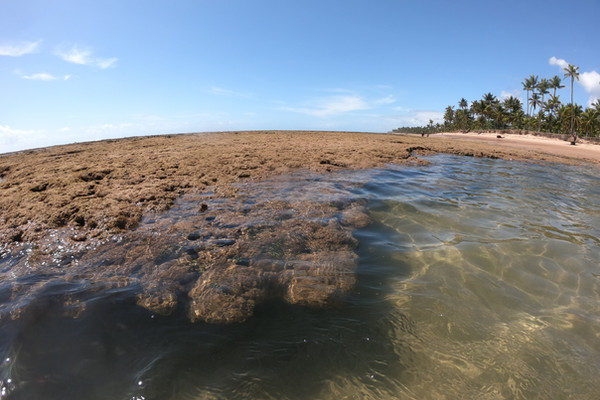 Piscinas Naturais de Taipu de Fora