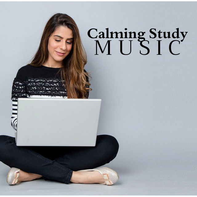 24/7 homework help hotline
