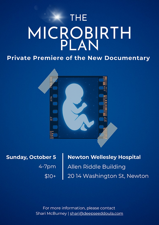 Microbirth plan flyer (1).png