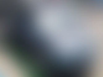 ベリーサご成約!