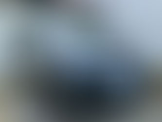 ビアンテご成約