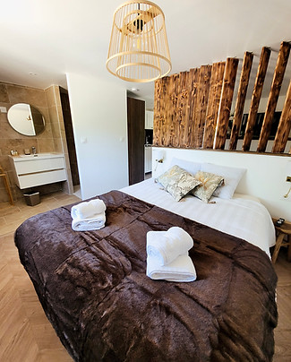 Chambre + SDB 2.jpg