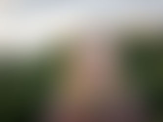 Elina Happonen on valittu Helsingin Nuorkauppakamarin kunniajäseneksi