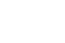 wedding chicks logo.png