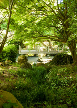 FallSanFranPark002