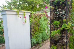 Phipps013