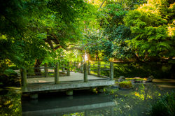 FallSanFranPark001