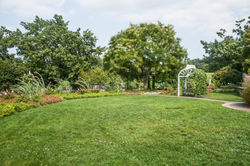 Phipps025