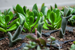 propogation003
