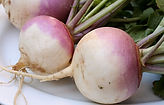Turnip.jpg