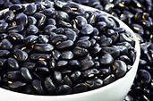 Black Kidney Soy Bean.png