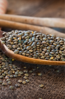French Lentils.png