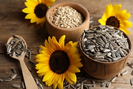sunflower seeds.png