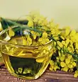 Canola Oil.webp