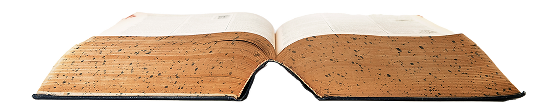 A picture of an open book.