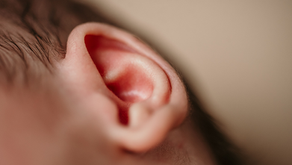The Delicately Designed Ear Attunes to Mom’s Voice