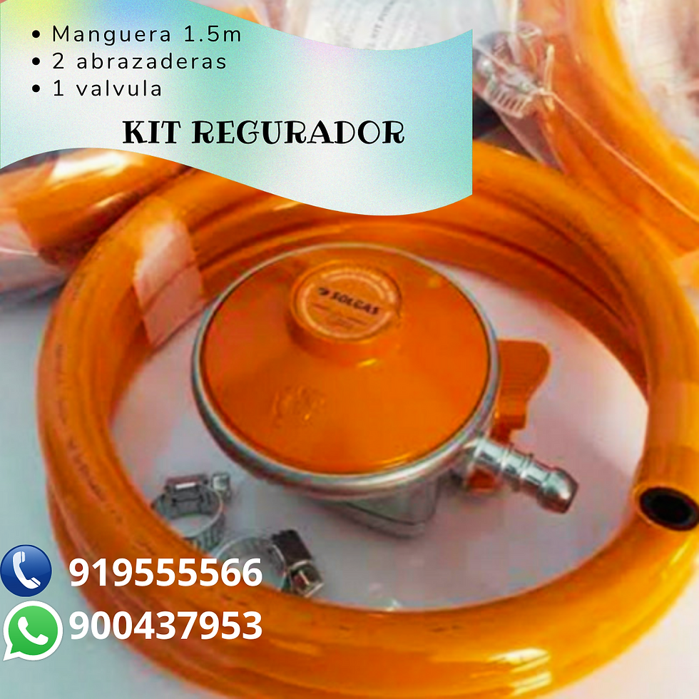 Miniatura: REGULADOR DEL NUEVO SISTEMA