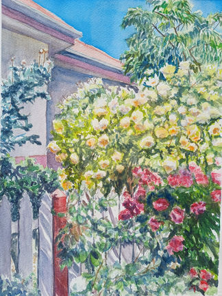 Front garden roses.jpg