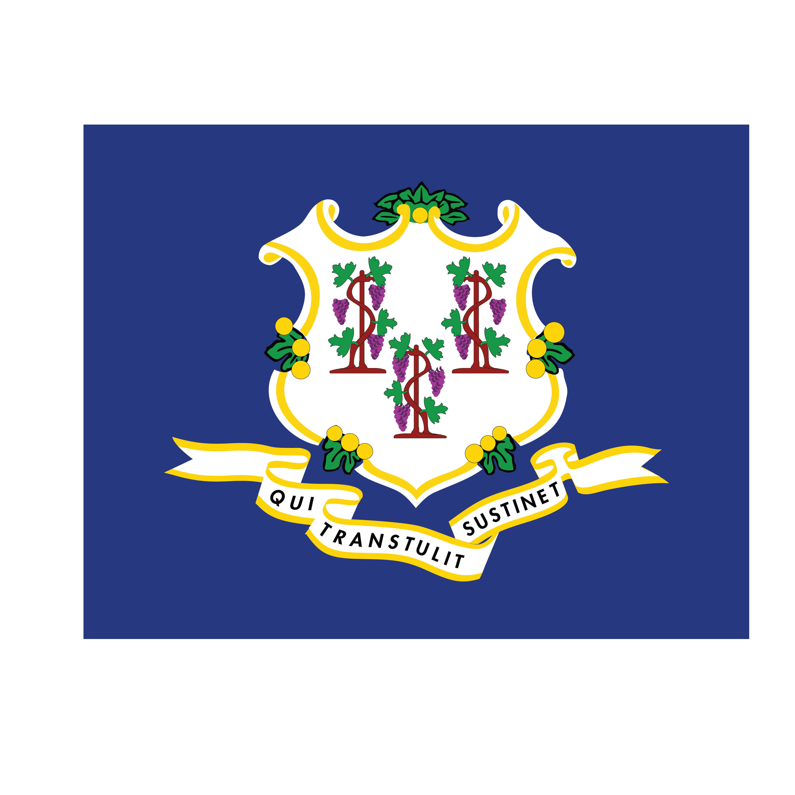 Connecticut State Flag DTF Print