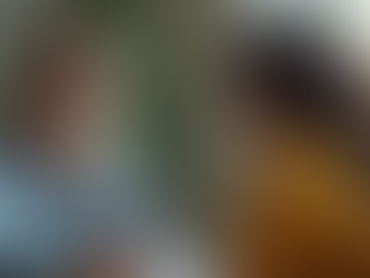 ליווי הורים לילדים עם עיכוב התפתחותי