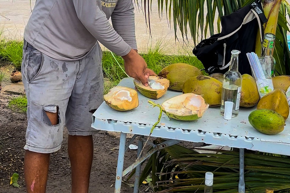 Fresh Coconut in Belize