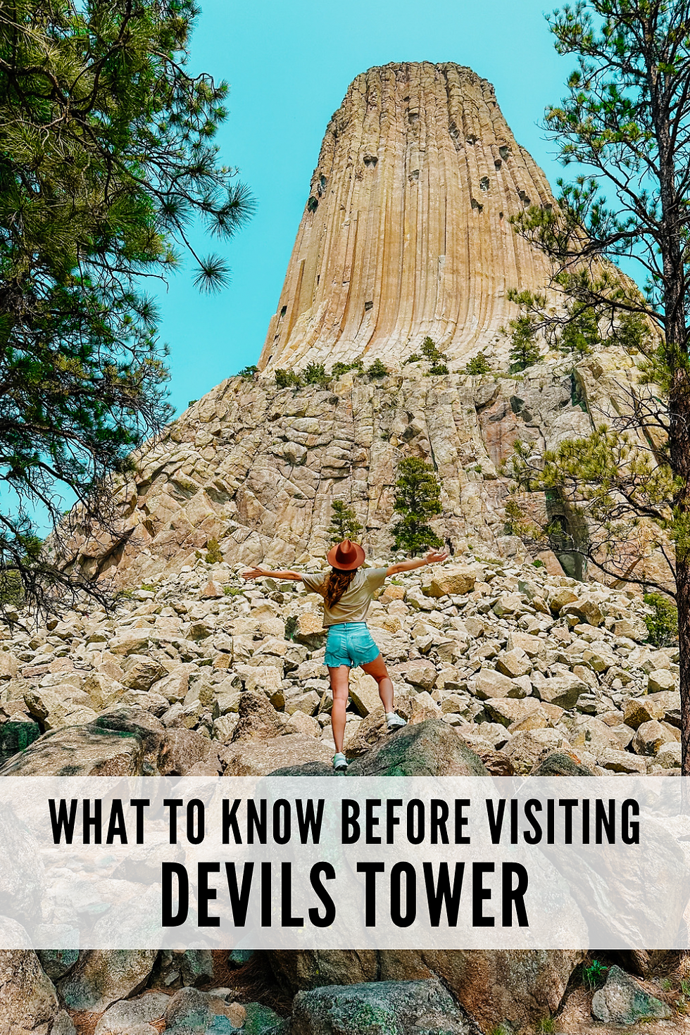 Pinterest pin of devils tower