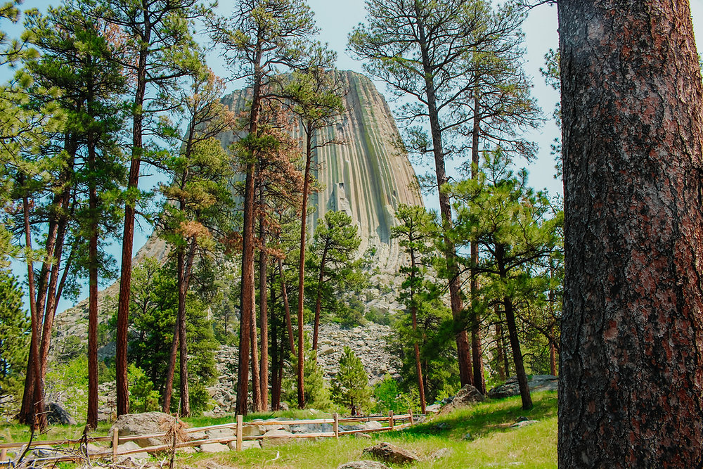 Your Quick Guide To Devils Tower National Monument