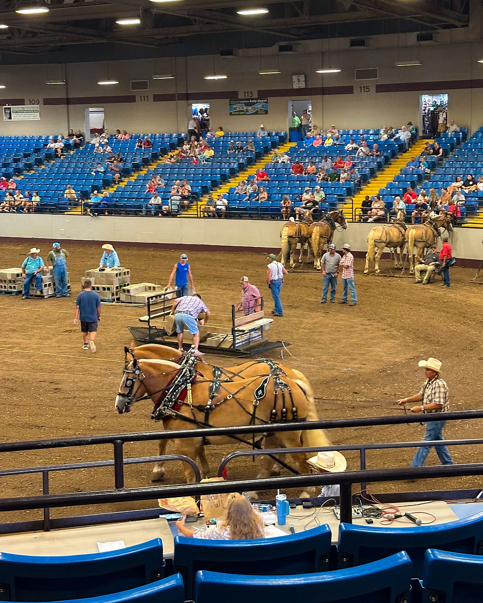 The Draft Horse pull at the Missouri State Fair
