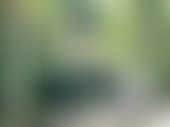 滝の音と風鈴の音色が涼やかです。