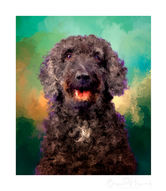 Labradoodle dog fine art