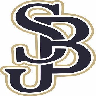 St John Bosco (Brown)