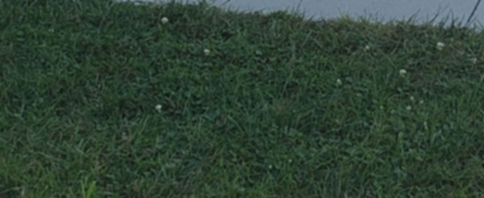 Pic 1.jpg