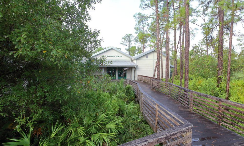 Florida meditation retreats