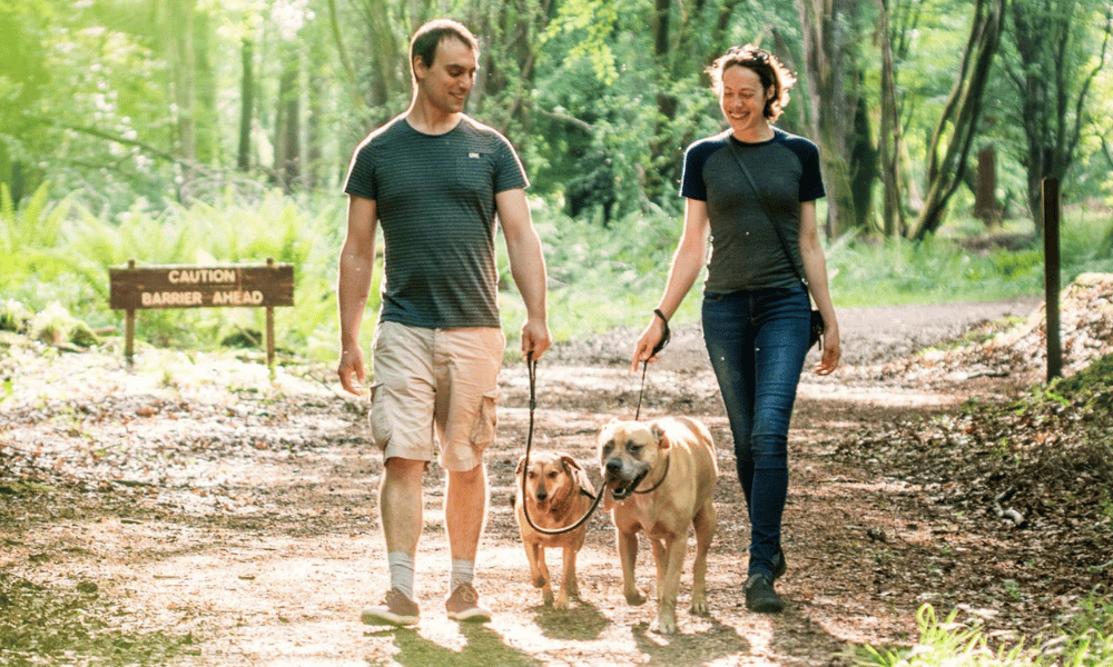 dog-friendly hotels in Ireland