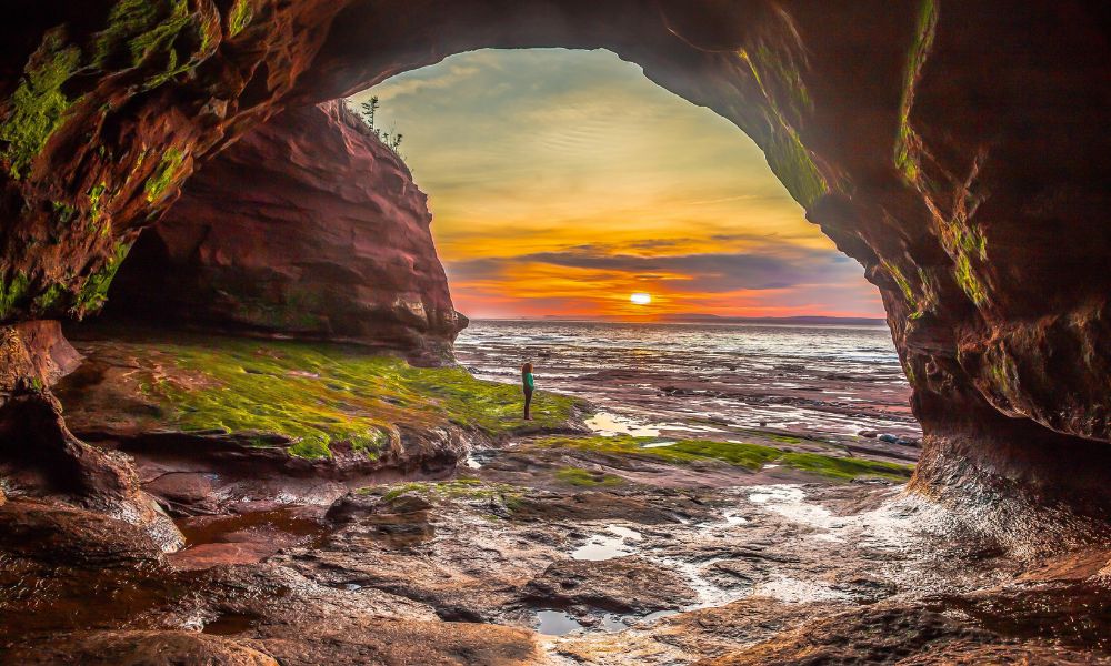 Discover Nova Scotia's Coastal Drives
