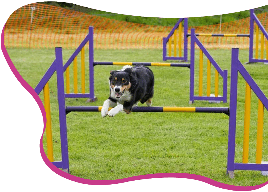 ree