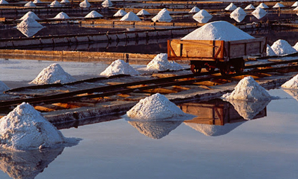 Sečovlje Salt Pans Nature Park
