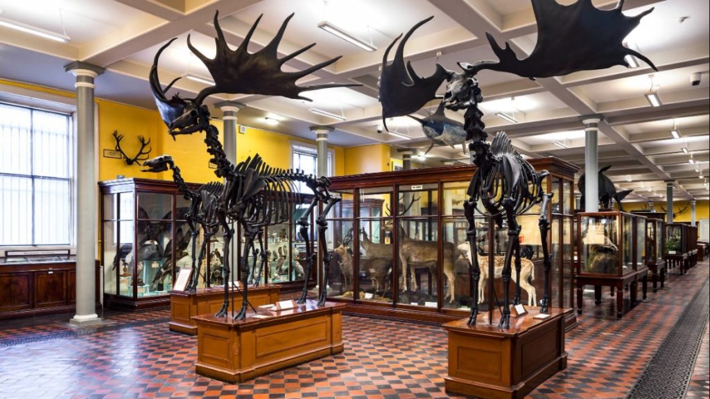National Museum of Archaeology
