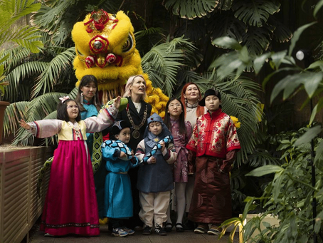 Everything on at the Dublin Lunar New Year Festival!