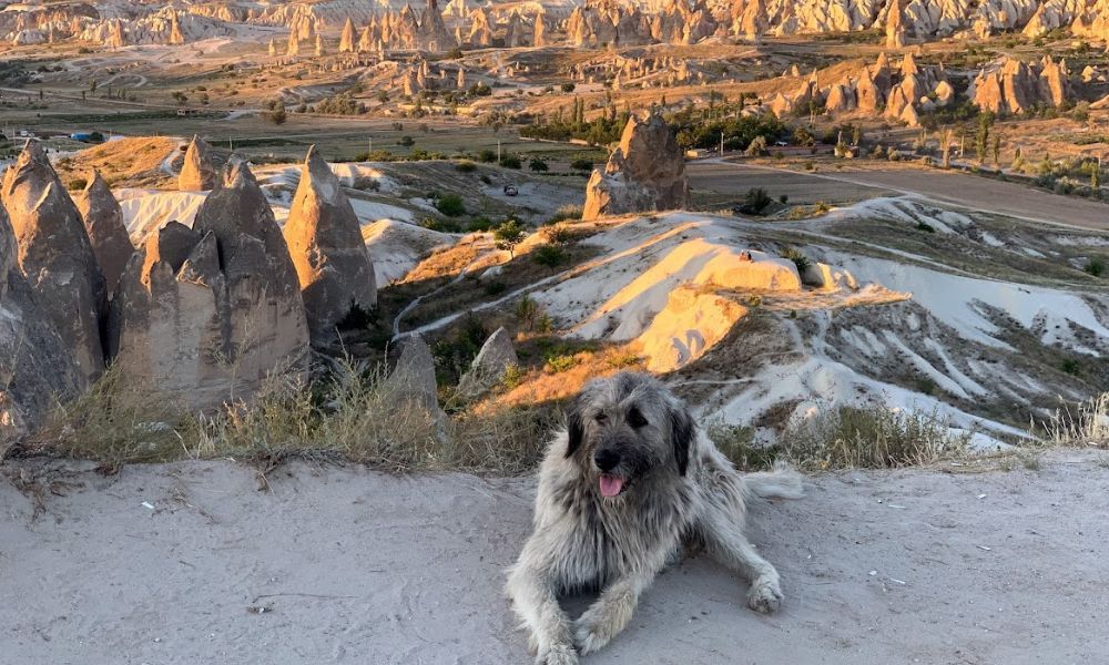 Cappadocia Hot-Air Balloon Adventure