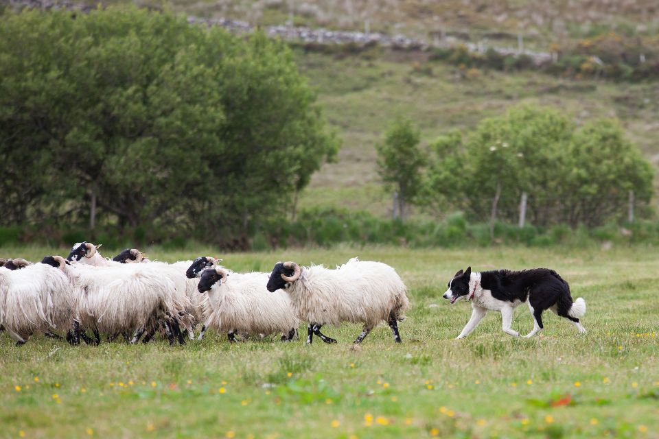 Outdoors Adventures Ireland